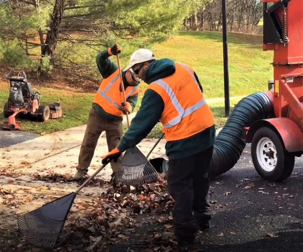 men in safety vests cleaning yard waste