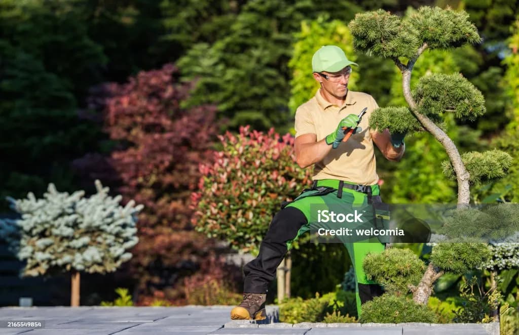 Man wearing gloves trimming a bush